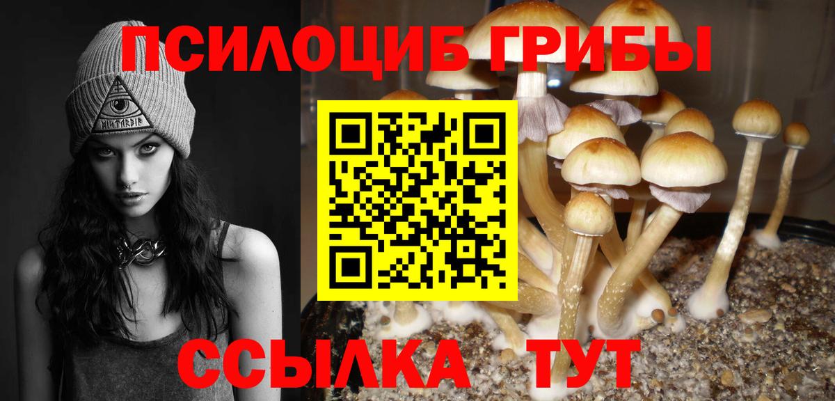 Галлюциногенные грибы ЛСД Армавир