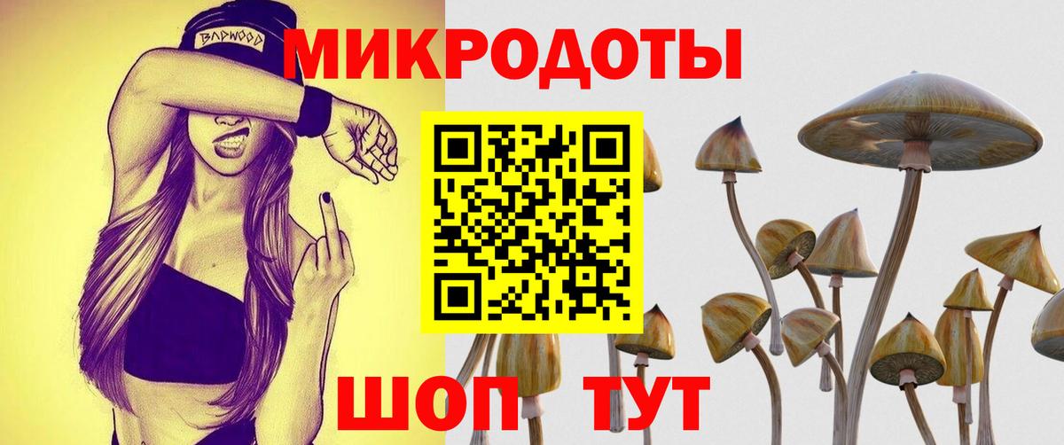 Псилоцибиновые грибы MAGIC MUSHROOMS  Псилоцибиновые грибы мицелий  Вход с VPN  Армавир 